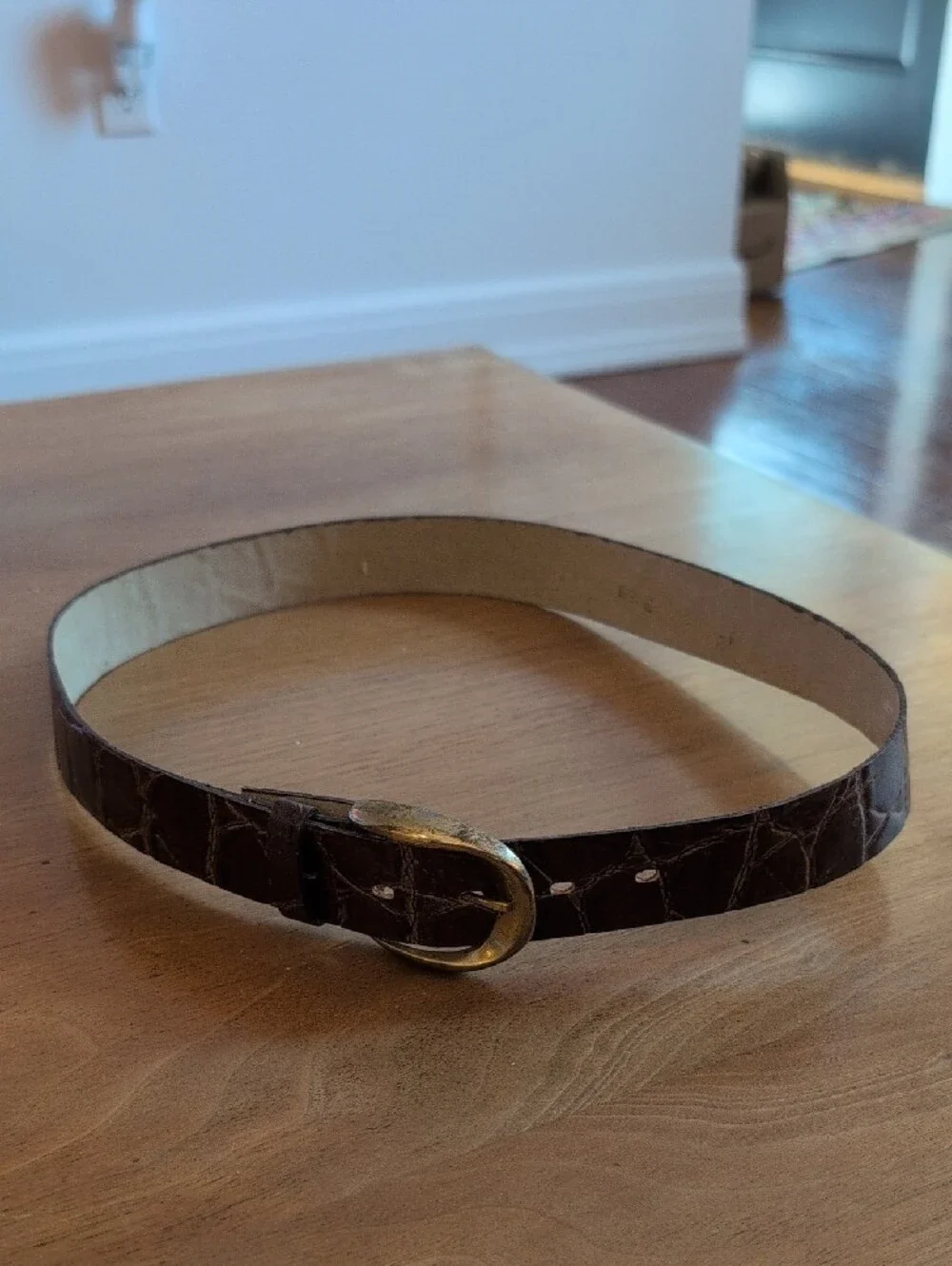 Vintage 1970's Textured Brown Croc-Embossed Leather Belt with Gold Buckle